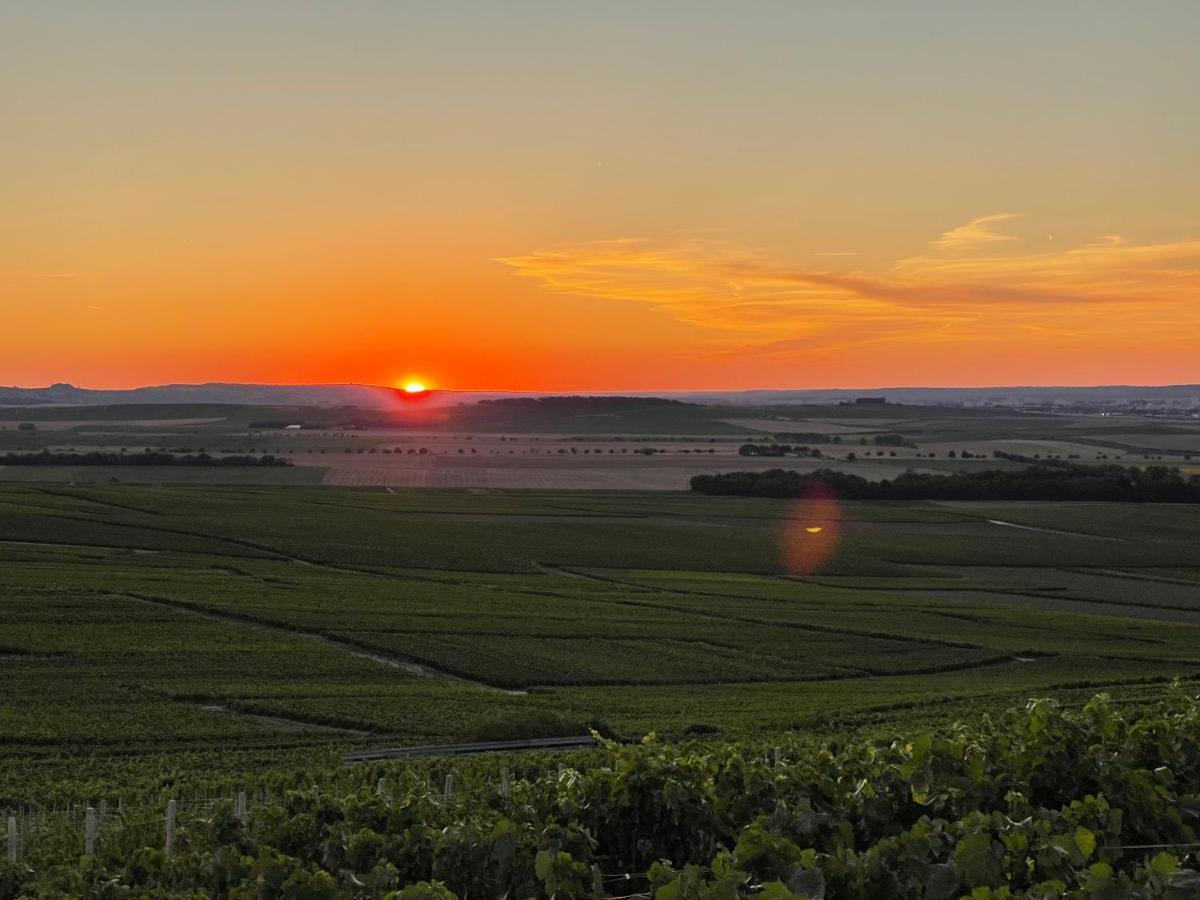 Apartmán L'Effervescent Remeš Exteriér fotografie